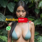 Konyaaltı Meydana Yakın Escort Duru